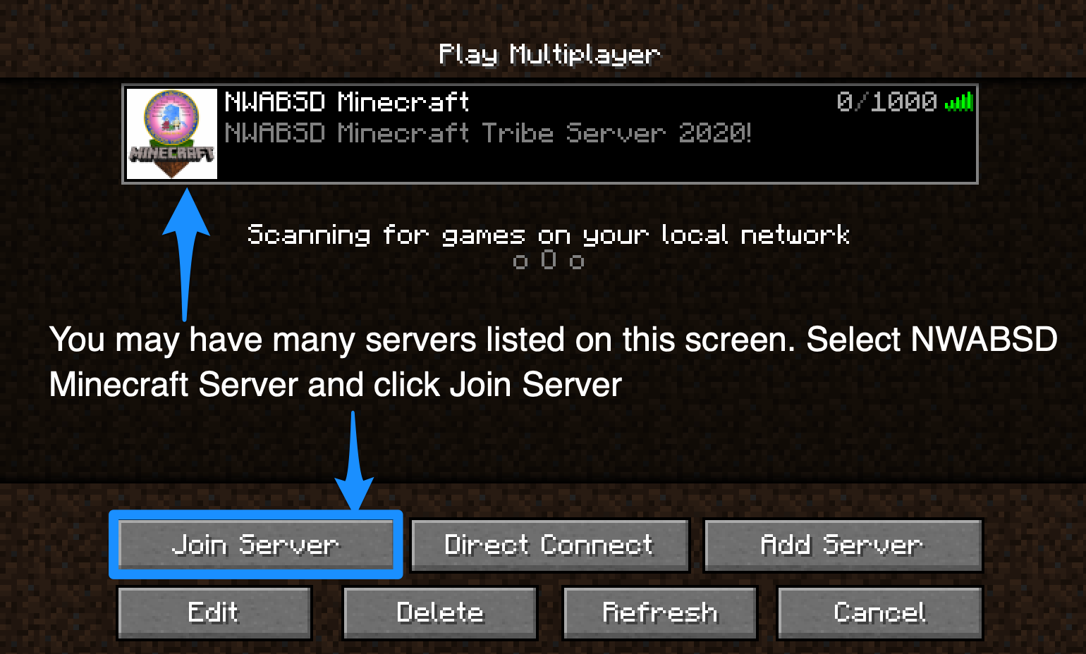 Minecraft server connection image 04